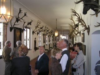 Im Wittelsbacher Museum